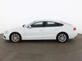 Audi A5 Sportback 2.0 TDI XENON LEDER NAVI SITZHZG Weiß - thumbnail 6