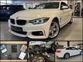 BMW 430 d xDrive Sport Aut.|M Sport|Kam.|HiFi|8.623km Weiß - thumbnail 1