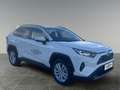 Toyota RAV 4 Active Drive 2,5, 222 PS 4x4 Hybrid Weiß - thumbnail 7