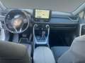 Toyota RAV 4 Active Drive 2,5, 222 PS 4x4 Hybrid Weiß - thumbnail 10