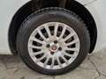 Fiat Punto Evo Punto Evo 3p 1.3 mjt Dynamic s Bianco - thumbnail 19