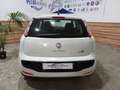 Fiat Punto Evo Punto Evo 3p 1.3 mjt Dynamic s Bianco - thumbnail 9