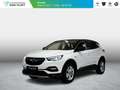 Opel Grandland X 1.2 Turbo Business Elegance Automaat | Trekhaak | Blanc - thumbnail 1