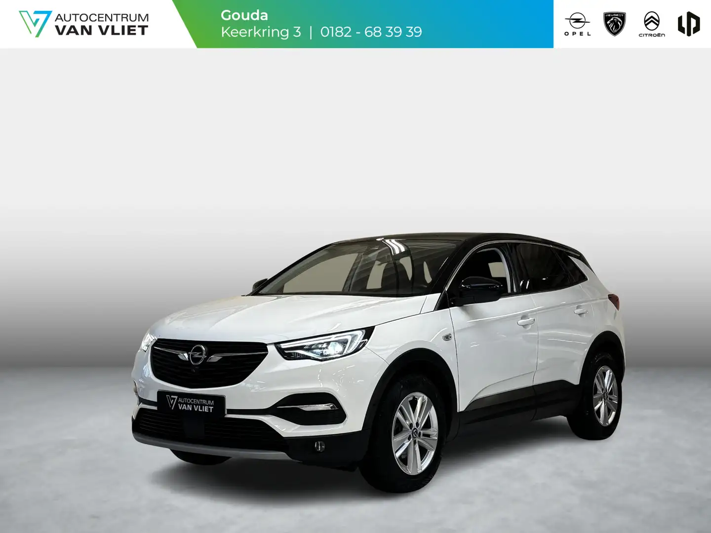 Opel Grandland X 1.2 Turbo Business Elegance Automaat | Trekhaak | Blanc - 1