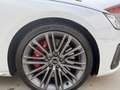 Audi S4 Avant 3.0 TDI PRIMA SCELTA PLUS Blanc - thumbnail 9