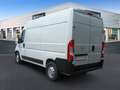 Opel Movano Cargo L2H2 3,5t Selection Weiß - thumbnail 3