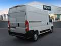 Opel Movano Cargo L2H2 3,5t Selection Weiß - thumbnail 5