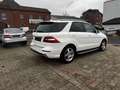 Mercedes-Benz ML 350 Bluetec AMG PANO 360 Grad ILS AHK Weiß - thumbnail 5