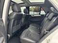 Mercedes-Benz ML 350 Bluetec AMG PANO 360 Grad ILS AHK Weiß - thumbnail 24