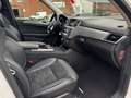 Mercedes-Benz ML 350 Bluetec AMG PANO 360 Grad ILS AHK Weiß - thumbnail 22