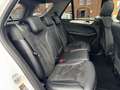 Mercedes-Benz ML 350 Bluetec AMG PANO 360 Grad ILS AHK Weiß - thumbnail 26