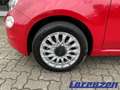 Fiat 500 Dolcevita Mild Hybrid 1.0 Panorama Apple CarPlay A Rot - thumbnail 8