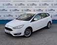 Ford Focus Sb. 1.5TDCi Business 120 Wit - thumbnail 1