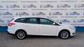 Ford Focus Sb. 1.5TDCi Business 120 Wit - thumbnail 7