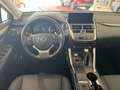 Lexus NX 300 300h Style Edition - thumbnail 9