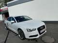 Audi A5 2.0 TDI quattro *Sportback* Weiß - thumbnail 2