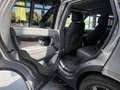 Land Rover Range Rover 3.0 D300 SE/PANO/22"/SHADOW EXTERIOR Grau - thumbnail 26