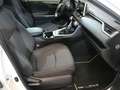 Toyota RAV 4 Rav4 2.5l 220H Business 4WD Alb - thumbnail 12