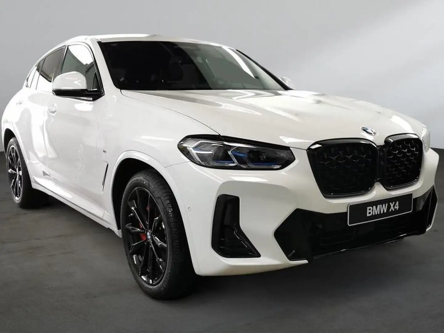 BMW X4 2.0 dA xDrive20 AdBlue Wit - 1