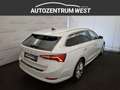Skoda Octavia Combi 1,5 iV Style DSG..NAVI/Matrix/Head Up Weiß - thumbnail 8