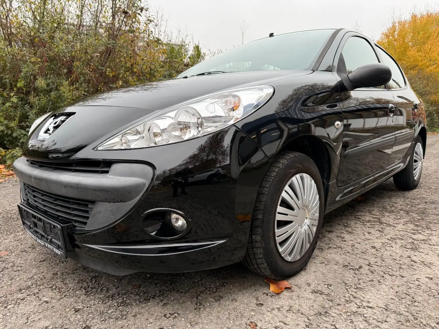 Peugeot 206 + Basis Schwarz - 1
