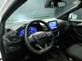 Ford Puma 1.0 Ecoboost Hybrid 125CV ST-Line Auto Weiß - thumbnail 11