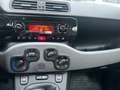 Fiat Panda 1.3 MJT S&S 4x4 Rosso - thumbnail 10