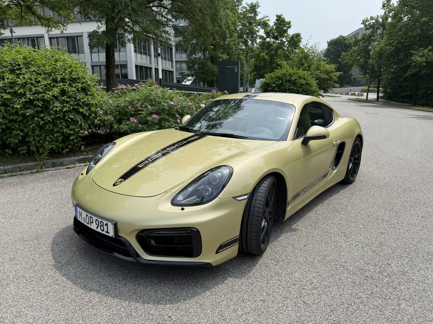 Porsche Cayman GTS (981) Approved Garantie bis 05.2026 Gold - 1