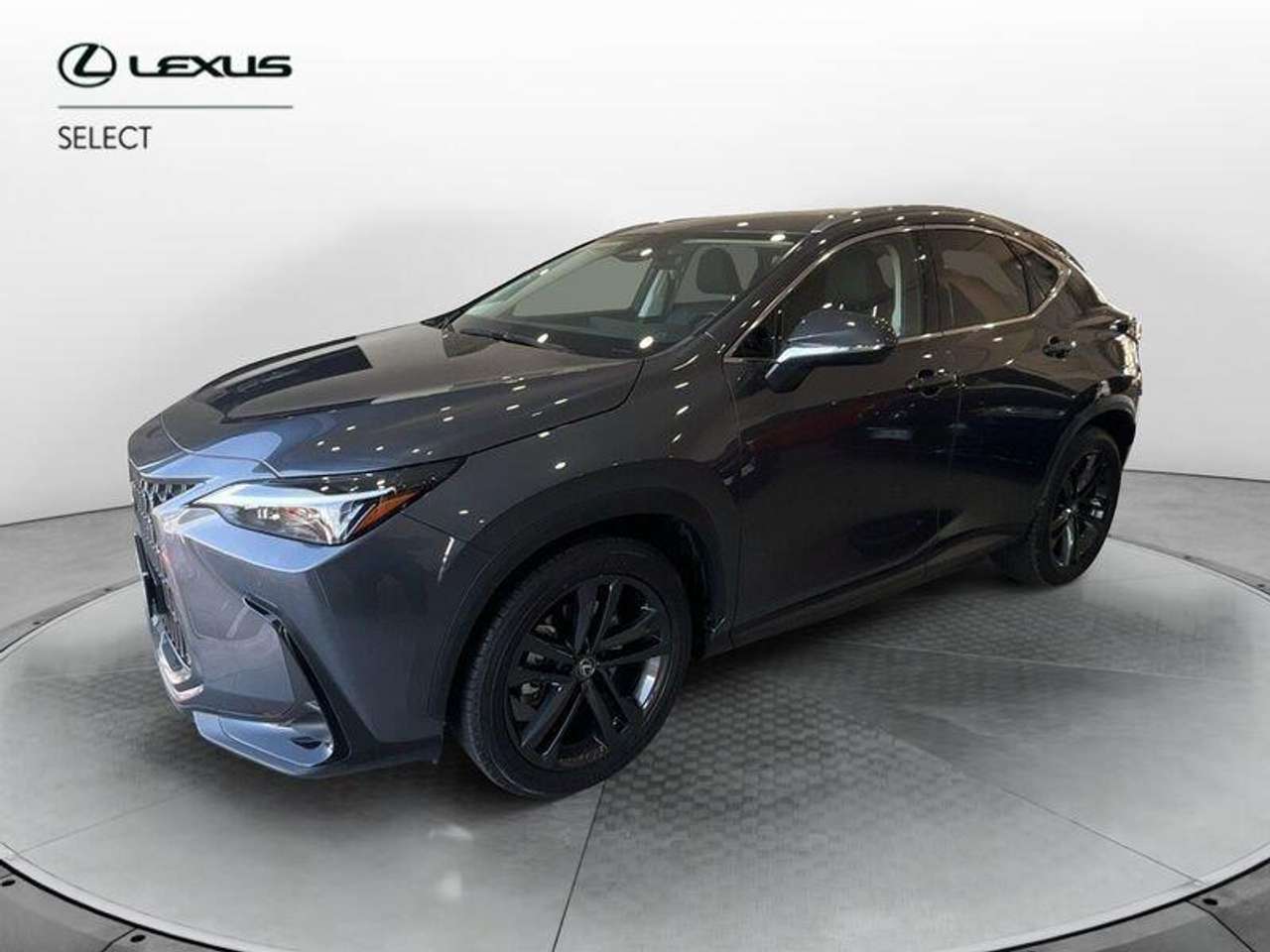 Lexus NX 450h+ 450h+ 2.5 phev Premium+ 4wd 309cv e-cvt