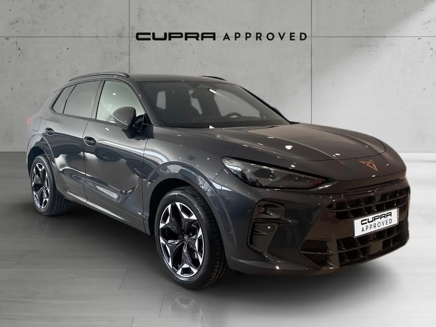 CUPRA Terramar 1.5 eTSI 110 DSG Grau - 1