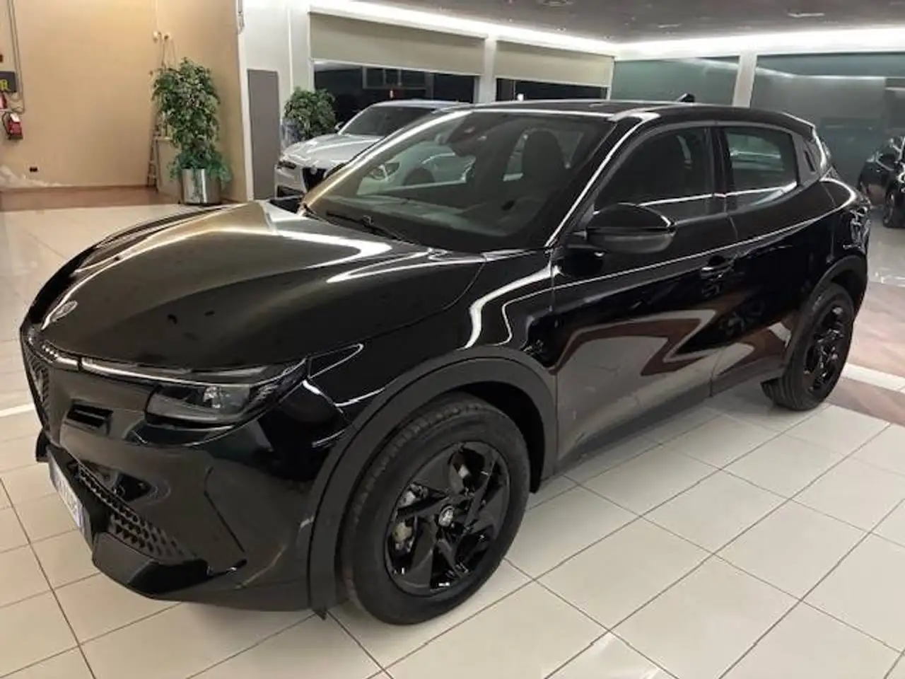 Alfa Romeo Junior 2025
