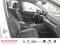 Volkswagen Golf VIII Active 2.0 TDI DSG Life HUD AHK Pano Navi Dig Weiß - thumbnail 6