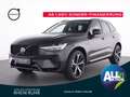 Volvo XC60 T8 AWD Plus Dark+360Kam+Sound+HUD+LED+SHZ Grigio - thumbnail 1