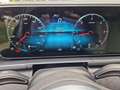 Mercedes-Benz GLS 400 d 4Matic AMG AHK FahrAssistPLUS SoftClose Silber - thumbnail 18
