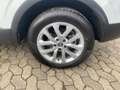 Renault Kadjar 1.2 TCe 130 ENERGY Experience LED*2xKlima Blanc - thumbnail 13