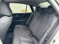 Toyota Mirai DYNAMIC KEYLESS JBL-AUDIO STOELVERWARMING APPLE/AN Weiß - thumbnail 23