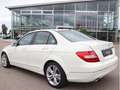 Mercedes-Benz C 250 CGI AVANTGARDE/BI-XENON/STEUERKETTE NEU Alb - thumbnail 3