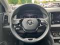 Skoda Karoq Style TSI DSG ACT Grau - thumbnail 9