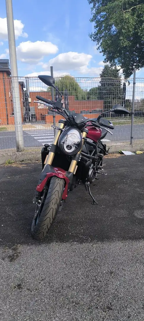 Benelli 752 S Rouge - 2