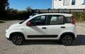 Fiat Panda City Life Hybrid 1.0 70PS Weiß - thumbnail 3