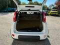 Fiat Panda City Life Hybrid 1.0 70PS Weiß - thumbnail 6