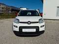 Fiat Panda City Life Hybrid 1.0 70PS Weiß - thumbnail 2