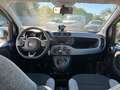 Fiat Panda City Life Hybrid 1.0 70PS Weiß - thumbnail 12