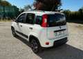 Fiat Panda City Life Hybrid 1.0 70PS Weiß - thumbnail 4