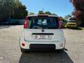 Fiat Panda City Life Hybrid 1.0 70PS Weiß - thumbnail 5
