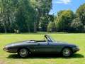 Alfa Romeo Spider Junior Duetto1969 Zo chique en stijlvol. Verliefd! Grijs - thumbnail 4