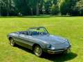 Alfa Romeo Spider Junior Duetto1969 Zo chique en stijlvol. Verliefd! Grijs - thumbnail 46