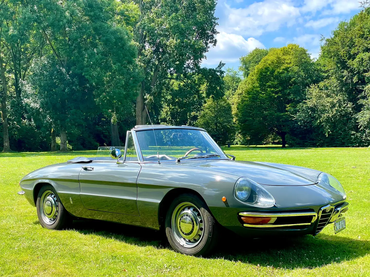Alfa Romeo Spider Junior Duetto1969 Zo chique en stijlvol. Verliefd! Grijs - 2