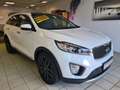 Kia Sorento Platinum Edition 4WD / PANO / BELÜFTUNG Blanc - thumbnail 3