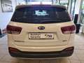 Kia Sorento Platinum Edition 4WD / PANO / BELÜFTUNG Blanc - thumbnail 5